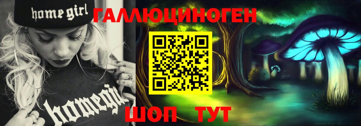 где найти   Вход с VPN  Тосно  Галлюциногенные грибы MAGIC MUSHROOMS 